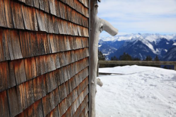 Cedar Siding Repair in Eau Claire