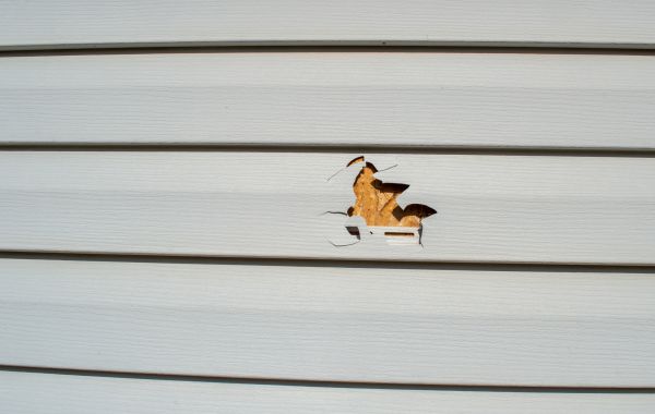 Siding Hole Repair in Eau Claire